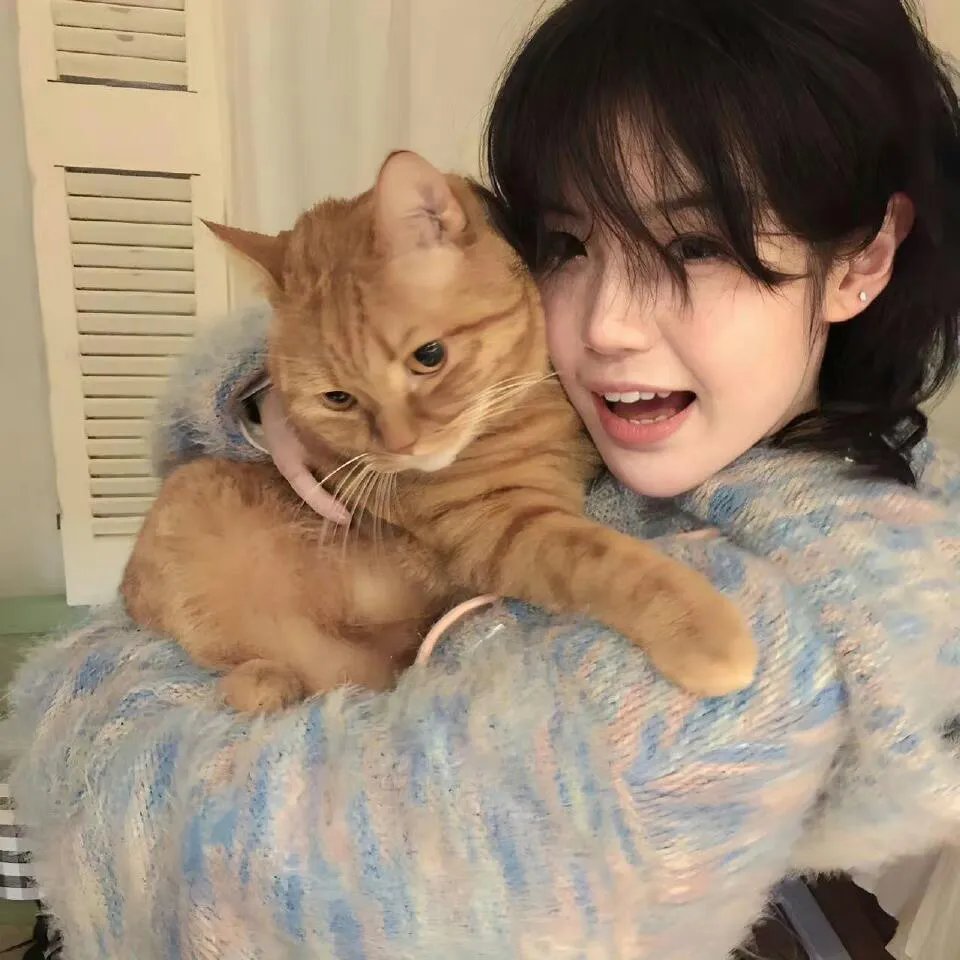 猫公主苏菲